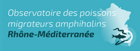 Observatoire des poissons migrateurs