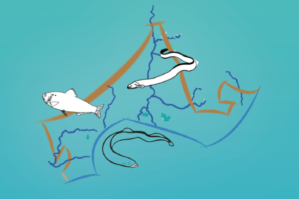 Logo PLAGEPOMI