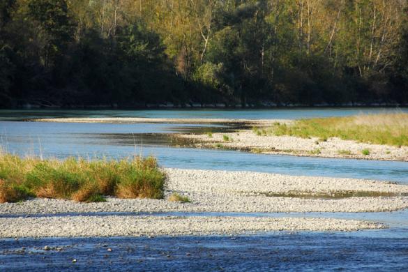 Cours d'eau Rhone (le)