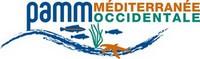logo DIRM Méditerranée