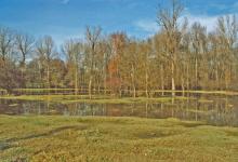 Plaine inondable de la Bourbre