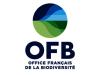 OFB