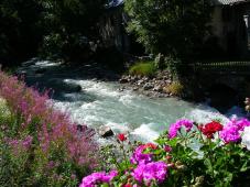 Torrent alpin