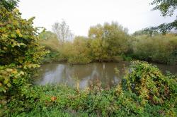 Réserve naturelle régionale de la basse vallée de La Savoureuse (forêt alluviale)